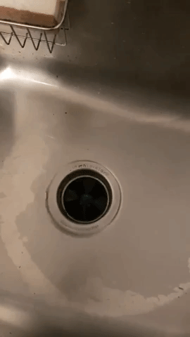 Reviewer gif of garbage disposal cleaner foaming up